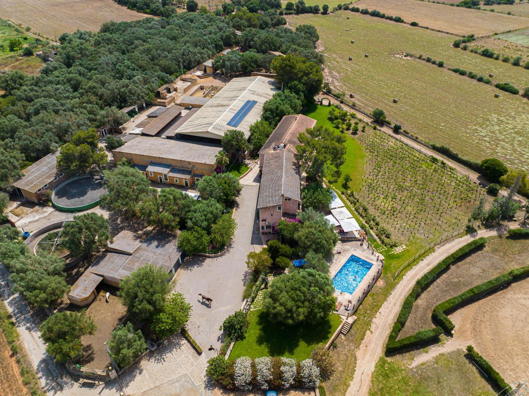 Country house Son Menut